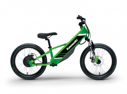 Image de Electrode 20